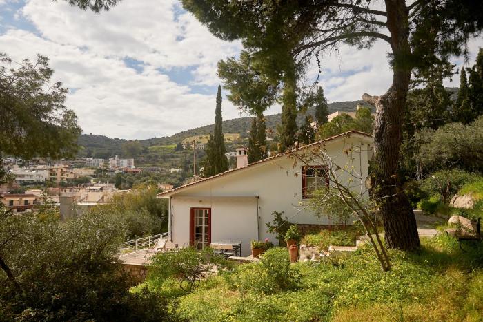 Cosy country house with treehouse in olive grove