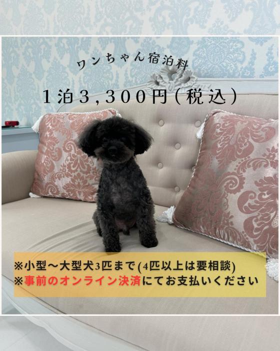 一棟貸しゲストハウス マリドール