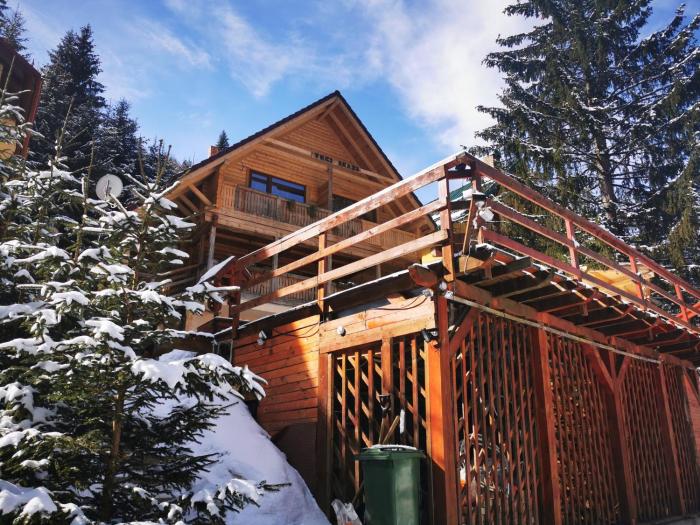 Cabana "Trei Brazi " Retezat