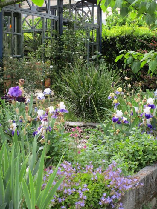 La Gallina Felice B&B