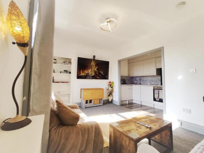 Football Stadium Apartment Dundee