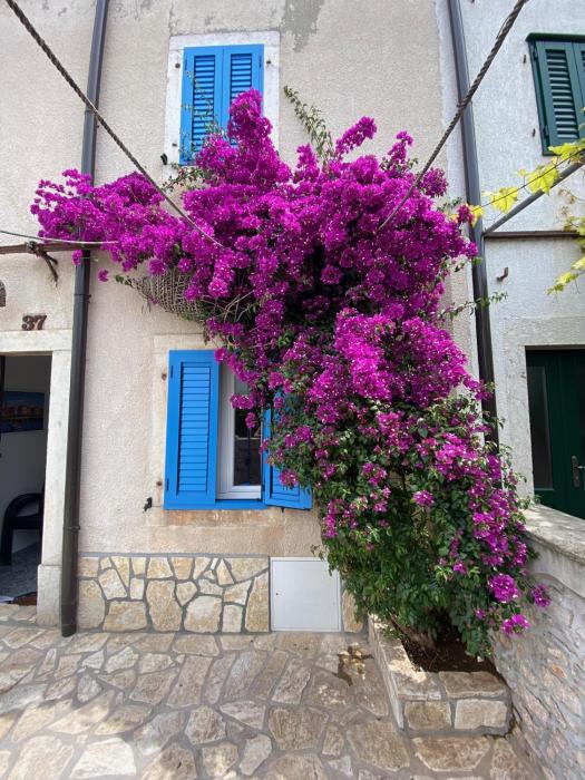 Family&Friends Lovely Apartment House in Punat