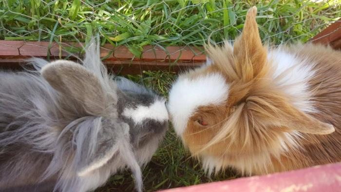 Sóstó Kastélyszàlló és Római Fürdő Spa