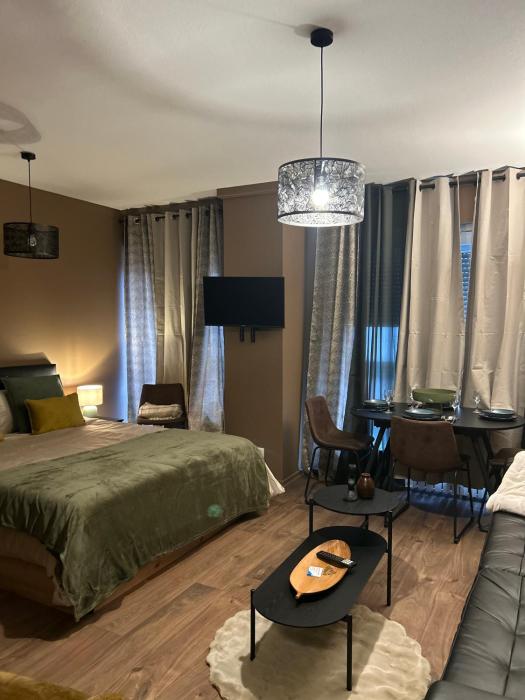 Hyper Center Strasbourg & Petite France Premium Apartment