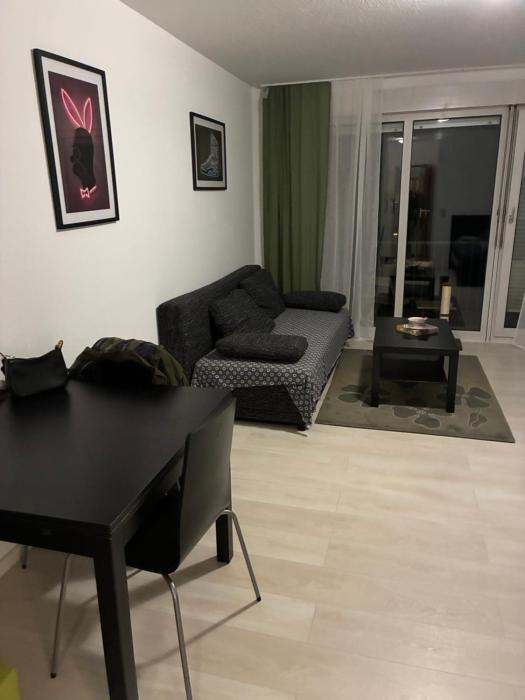 Beautiful, cozy 1-room apartment in city center