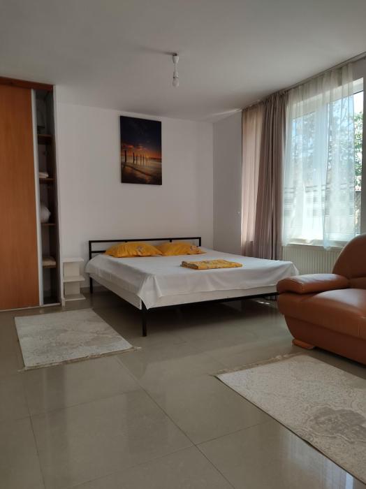 casa Olga ap 4 camere parter