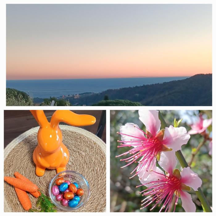 TraMonti e Mare, vista mare giardino, la casa che in ogni stagione si trasforma!