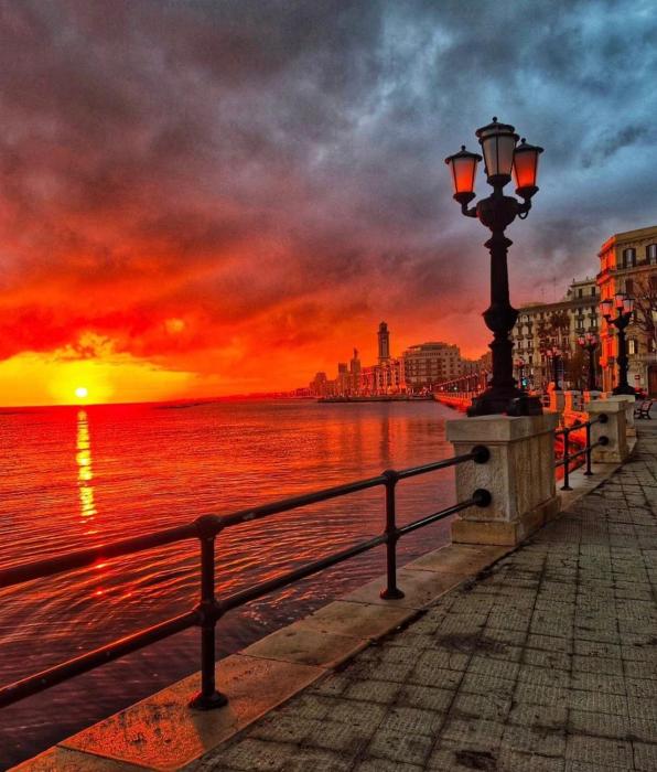 Heart Of Bari