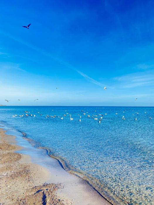 Ferienwohnung Jasmin Ostsee