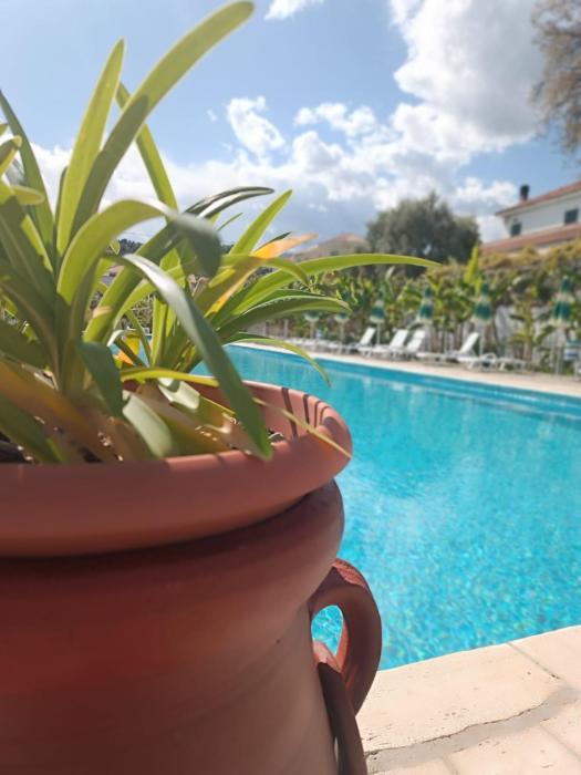 Residenza Al Borgo