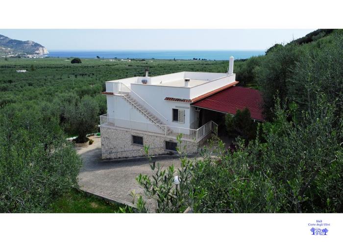 B&B Corte degli Ulivi