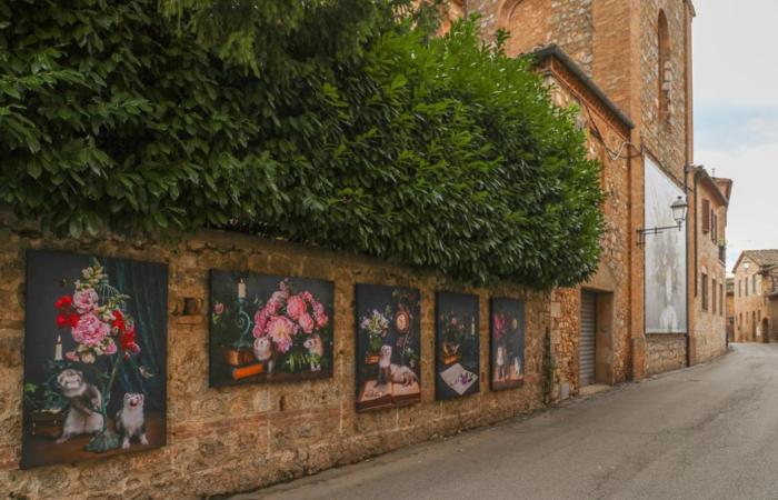 Lo Scorcio su Sovicille