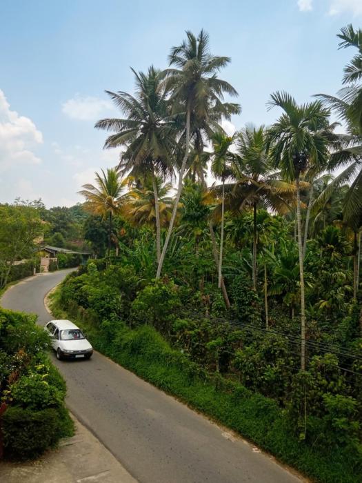 View Paddy Field Home Stay