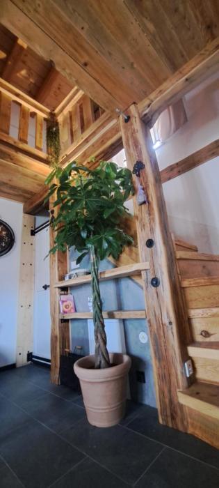 Apartman La Pietra Toscana