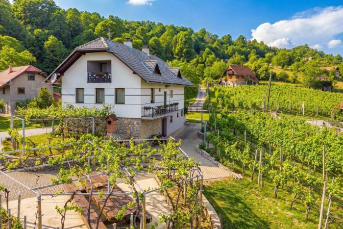 Vineyard Homestead Vrtin - Happy Rentals