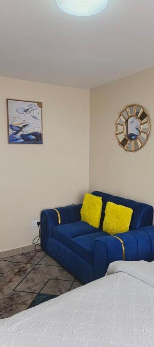 22 Newly Stadeview studios Near Nyayo