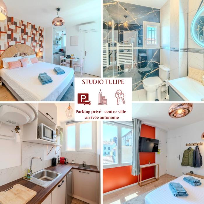 Tulipe Roanne centre-ville - Parking & Clim