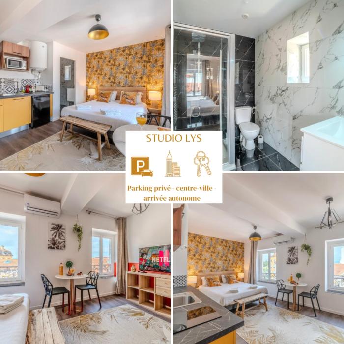 Lys Roanne centre-ville - Clim & Parking