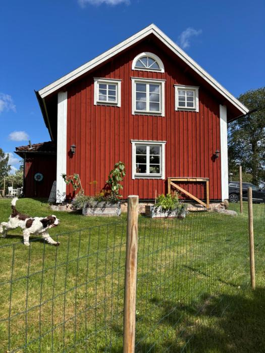 Torpidyll nära sjö