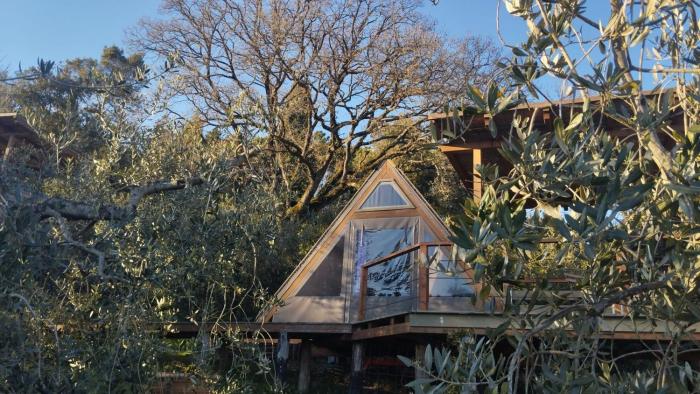 Glamping Le Ginestre