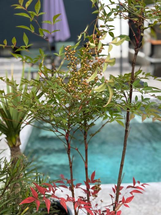 Villas Ambiance 21 Elégance Méditerranéenne à Portiragnes entre Terre et Mer Villa Séréna