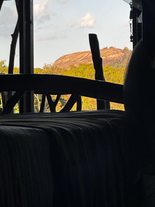 Sigiriya Rock Gate Tree House
