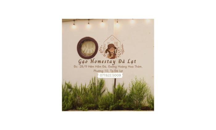 Gạo homestay