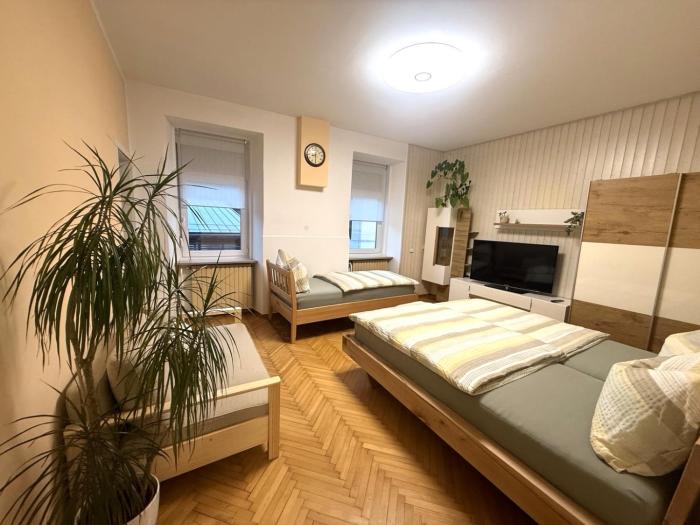 EDI APP Bovec Center-Free Parking & Mountain View