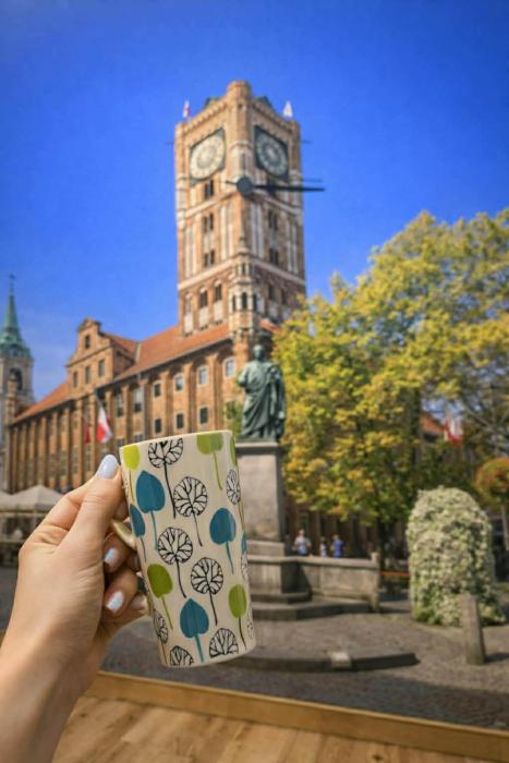 Parkowa Przystań 4 pokoje 2 łazienki 2 balkony 100m2 Stare Miasto