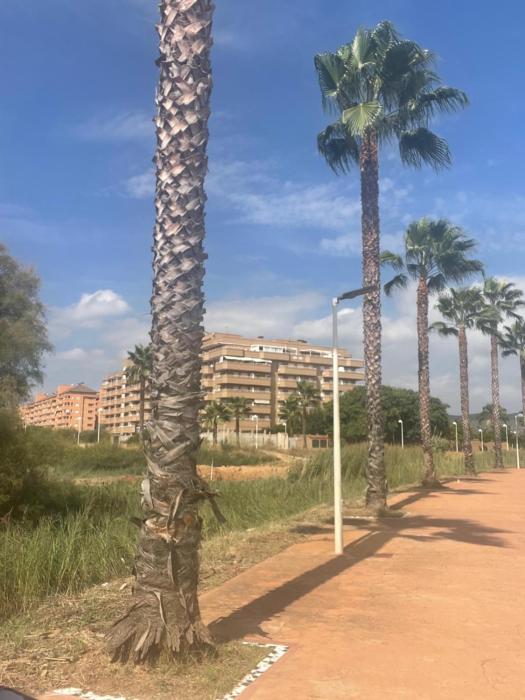 Apartamento junto al mar