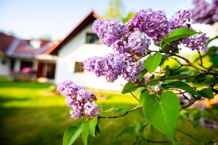 Maňava chalupa Lipno