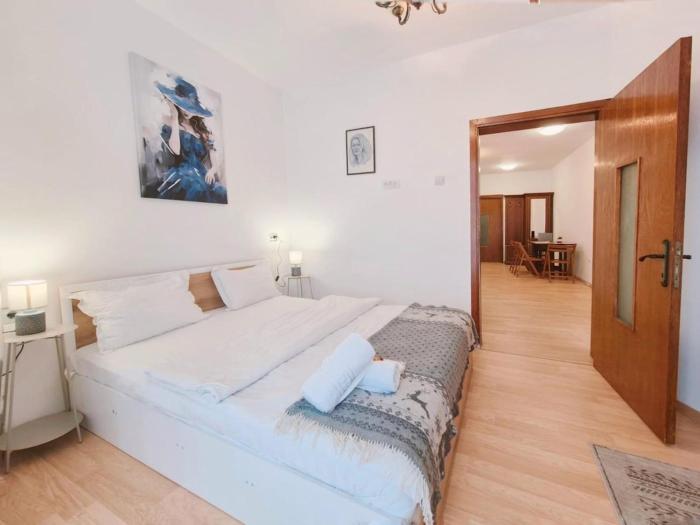 Belle Epoque Victoriei Apartment