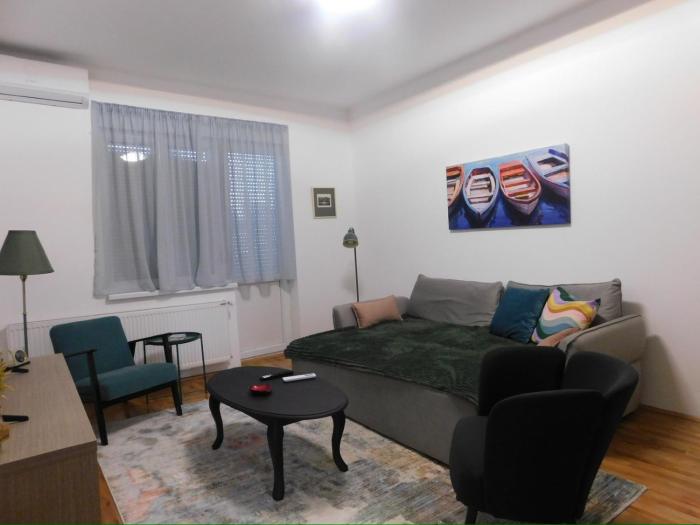 Cetinjska apartment