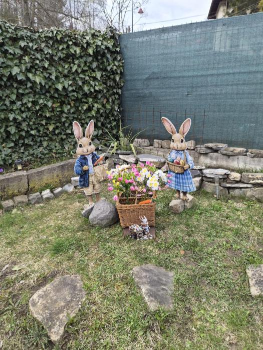 Apartament Rustic
