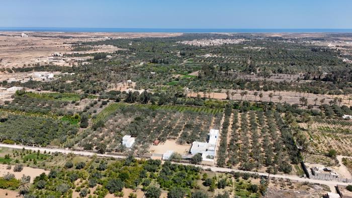 ZINA RESORT camping touristique