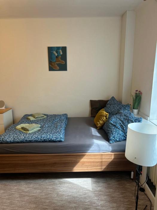 Peaceful apartment - centre in 10 min