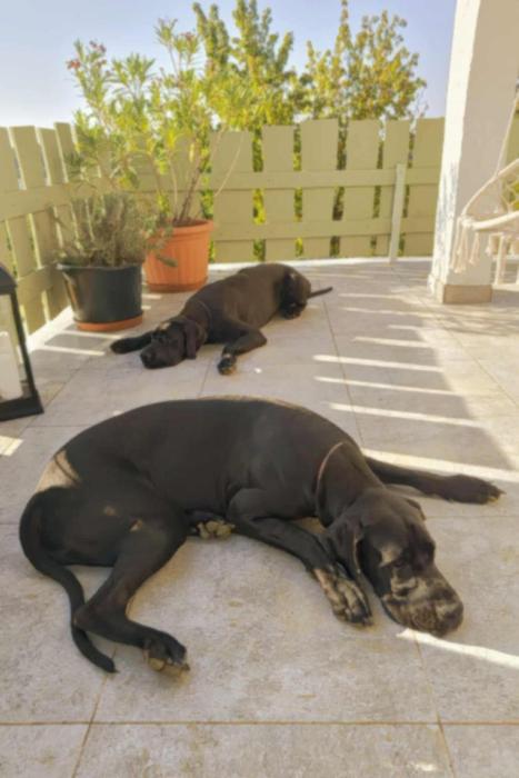 Varázshegy Vendégház Mohács