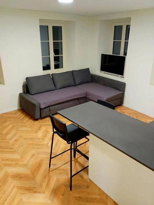 Central Living Brugg - B & W Apartment