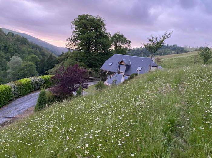 Bergerie LaBourdette