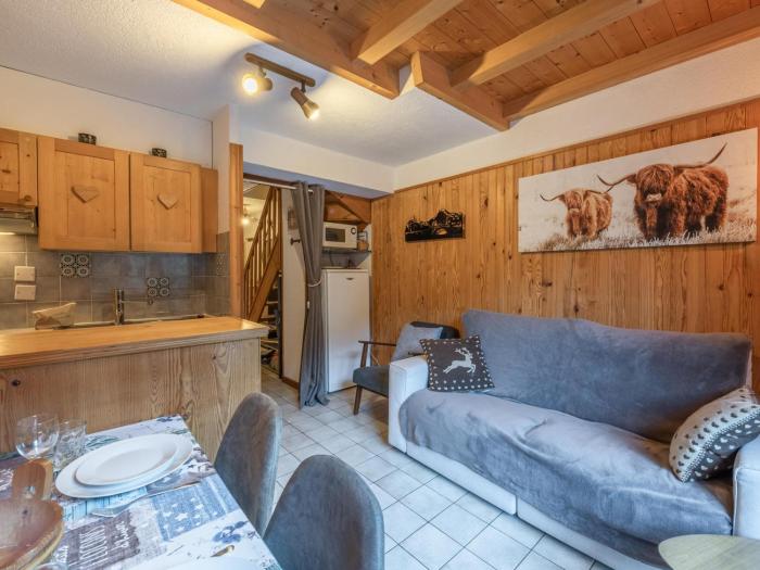 Appartement 4-6 pers au pied des pistes Morzine, animaux admis, parking - FR-1-754-28