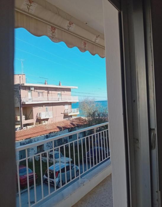Andys apartments