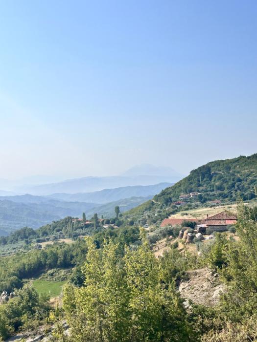 Bodini Mountain House