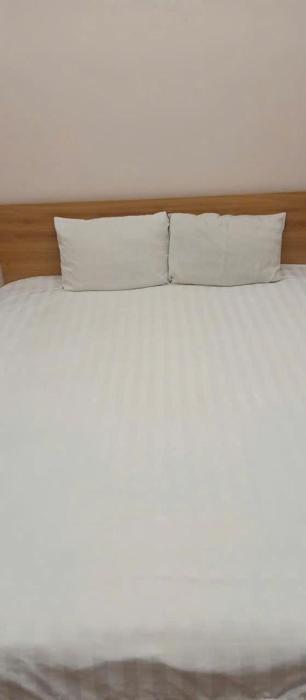 Green Nest Hotel 91