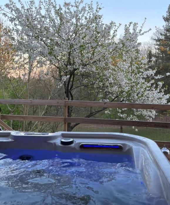 LOU PITCHOUN - Jacuzzi SPA Privé - Vignes - Proche ALBI et CORDES