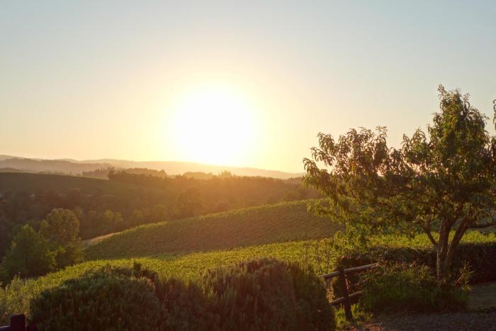 Agriturismo Montegonfoli