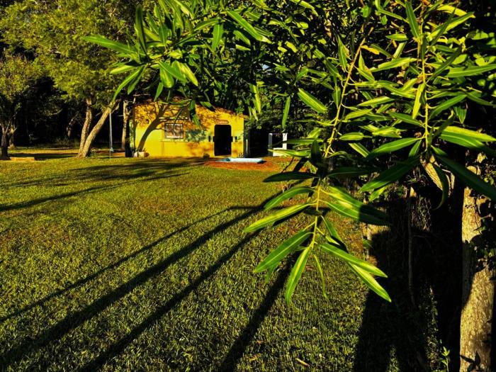 Quinta Pamonte