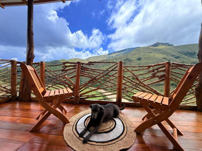 Mandrake Cabaña Nutria