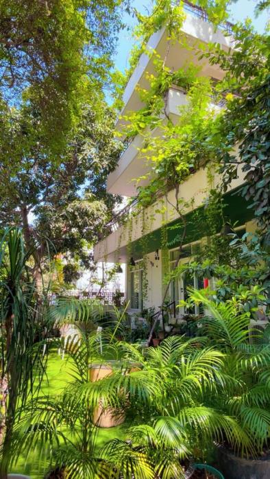 The Studio Terrace Apartment