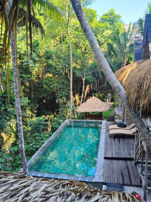 HOB Jungle Escape Villa