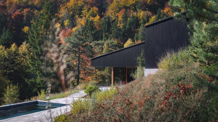 Villa with a pool near a forest, just 20 minutes from downtown Ljubljana